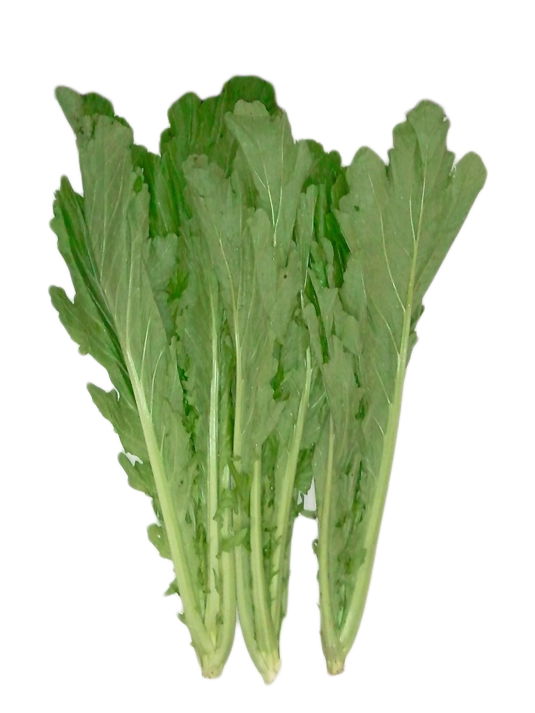 Hạt giống cải mèo F1